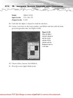 Tài liệu 2D Artwork and 3D Modeling for Game Artists- P7 ppt