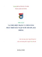 VAI TRÒ, HIỆN TRẠNG và TIỀM NĂNG PHÁT TRIỂN đất NGẬP nước đồ sơn, hải PHÒNG 