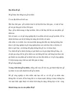 Tài liệu Đặc điểm đồ gỗ pdf