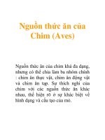 Tài liệu Nguồn thức ăn của Chim (Aves) ppt