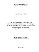 Ảnh hưởng của các loại thức ăn đến sinh trưởng, tỷ lệ sống và hiệu quả sử dụng protein của cá còm (chitala ornata) giai đoạn cỡ giống 2 3cm lên cỡ giống 8 10cm luận văn tốt nghiệp đại học 