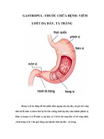 Tài liệu GASTROPUL -THUỐC CHỮA BỆNH- VIÊM LOÉT DA DÀY, TÁ TRÀNG pptx
