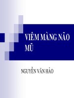 Tài liệu Viêm màng não mủ doc