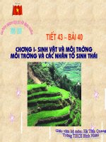 Bài soạn Tiết 43 Moi truong va cac nhan to sinh thai
