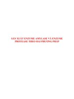Tài liệu SẢN XUẤT ENZYME AMYLASE VÀ ENZYME PROTEASE THEO HAI PHƯƠNG PHÁP pptx