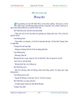 Tài liệu Lưu hương đảo soái - tập 11 doc