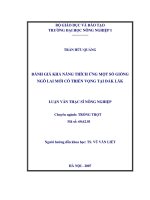 Đánh giá khả năng thích ướng một số giống ngô lai mới có triển vọng ỏ đăk lăk 