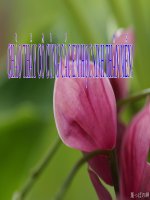 Tài liệu Ngoi truong moi