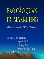 Tài liệu BÁO CÁO QUẢN TRỊ MARKETING docx