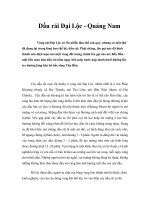 Tài liệu Dầu rái Đại Lộc - Quảng Nam pdf