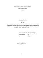 TỔ CHỨC hệ THỐNG THÔNG TIN kế TOÁN TRONG QUẢN lý tín DỤNG tại NGÂN HÀNG TNHH INDOVINA 