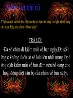 Tài liệu Tiết 40. Thằn lằn bóng đuôi dài