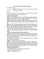 Tài liệu Thủ tục Xếp hạng doanh nghiệp pptx