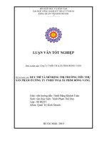 Duy trì và mở rộng thị trường tiêu thụ sản phẩm ở công ty TNHH TM&SX phim rồng vàng 