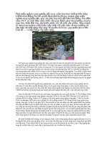 Tài liệu Ngành dệt may quay về nội địa với 3 đề án pdf