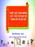 Bài soạn TIÊU HỌC MÔN KHOA HỌC