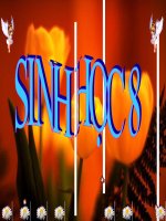 Gián án Tiết 43 Bài 41 Cấu tạo và chức năng của da