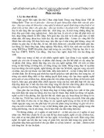 Bài giảng SKKN Địa Lý