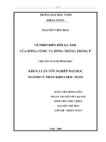 Về phép biến đổi xạ ảnh của đường cônic và đường thẳng trong p2 