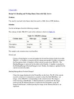 Tài liệu Reading and Writing Binary Data with SQL Server doc