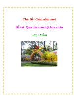 Tài liệu Chủ Đề: Chào năm mới - Đề tài: Qua cầu xem hội hoa xuân - Lớp : Mầm doc
