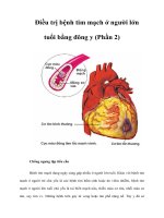 Tài liệu Ðiều trị bệnh tim mạch ở người lớn tuổi bằng đông y (Phần 2) pptx