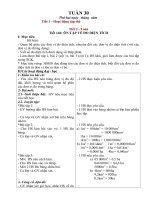 Gián án Giáo  án  Lớp 5 tuần 30 CKTKN