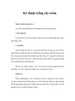 Tài liệu Kỹ thuật trồng cây trôm doc