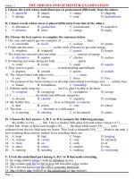 Tài liệu THE MID-SECOND SEMESTER EXAM_11