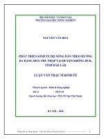 Phát triển kinh tế hộ nông dân theo hướng đa dạng hóa thu nhập tại huyện ĐRÔNG BUK, tỉnh ĐĂKLĂK 