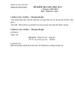 Bài giảng Đề kiểm tra GKI 2010-2011