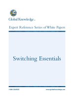 Tài liệu Switching Essentials pptx