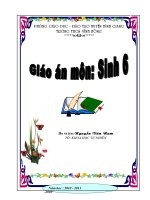 Gián án Giáo án sinh học 6 mới 2010-2011