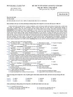 Tài liệu Đề thi CĐ môn Tiếng Anh khối D 2007 M248 ppt