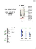 Tài liệu CHƯƠNG 11: NHIỄM SẮC THỂ VÀ SỰ PHÂN BÀO Ở EUKARYOTE doc