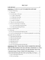 Marketing hỗn hợp cho sản phẩm bình nước hai lớp nhựa pioneer của công ty TNHH TM DV hướng dương 