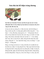 Tài liệu Sơn thù du bổ thận tráng dương pptx