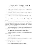 Tài liệu Khuyến cáo về Viêm gan siêu vi B ppt