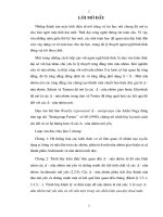 Các ∆   nửa nhóm mũ yếu 