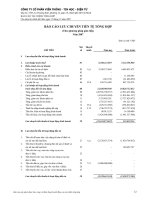 Tài liệu Công ty cổ phần Viễn Thông - tin học - điện tử pptx