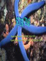 Tài liệu Sinh học phát triển cá thể ppt