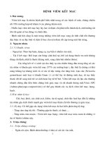 Tài liệu Giáo trình Bệnh viêm kết mạc docx