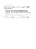 Tài liệu XML Namespaces in .NET doc