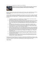 Tài liệu Thanh toán qua mạng dành cho người mua ở Việt Nam docx