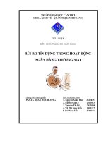 RỦI RO tín DỤNG TRONG HOẠT ĐỘNG NGÂN HÀNG THƯƠNG mại 