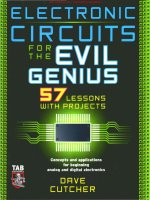 Electronic circuits for the evil genius 