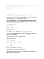 Tài liệu Chấp thuận áp dụng tiêu chuẩn xây dựng nước ngoài các công trình giao thông thuộc dự án sử dụng vốn ngân sách nhà nước pptx