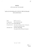 Nghiên cứu đo khoảng cách và cảnh báo ô nhiễm môi trường gây bởi các chất khí độc hại 