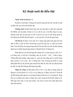 Tài liệu Kỹ thuật nuôi đà điểu thịt pptx