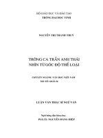 Trường ca hồ anh thái nhìn từ góc độ thể loại 